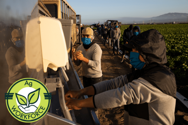 foreign recruitment resources