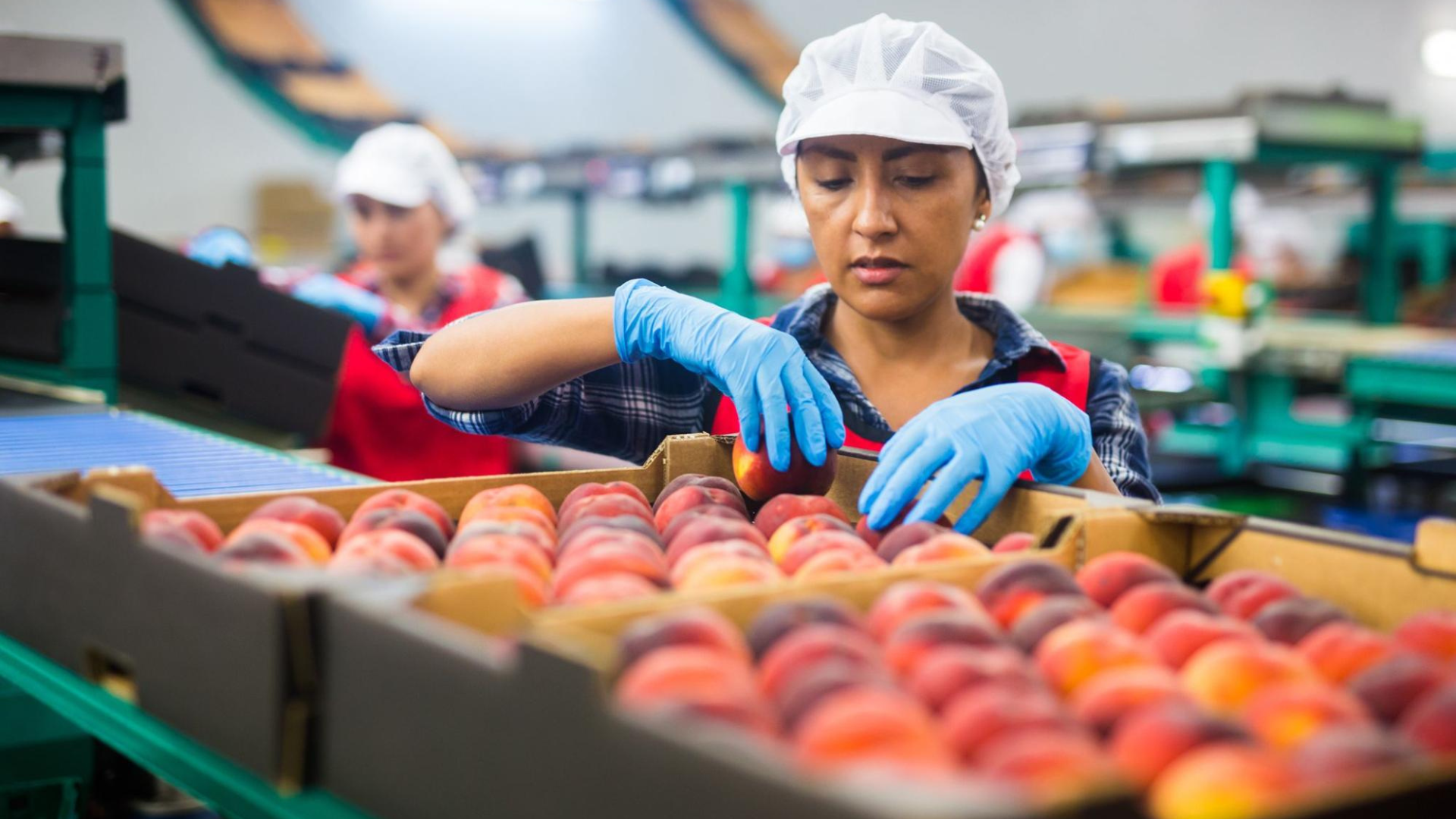 Workers in Food Manufacturing Company