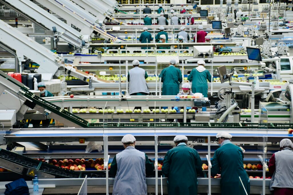 People working on a food production line in a manufacturing plants.