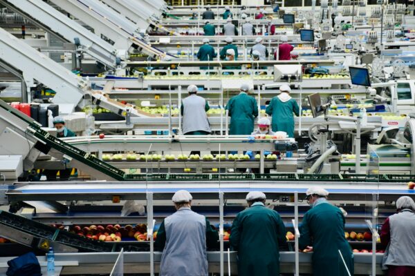 People working on a food production line in a manufacturing plants.